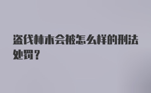 盗伐林木会被怎么样的刑法处罚？