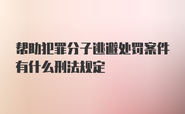 帮助犯罪分子逃避处罚案件有什么刑法规定