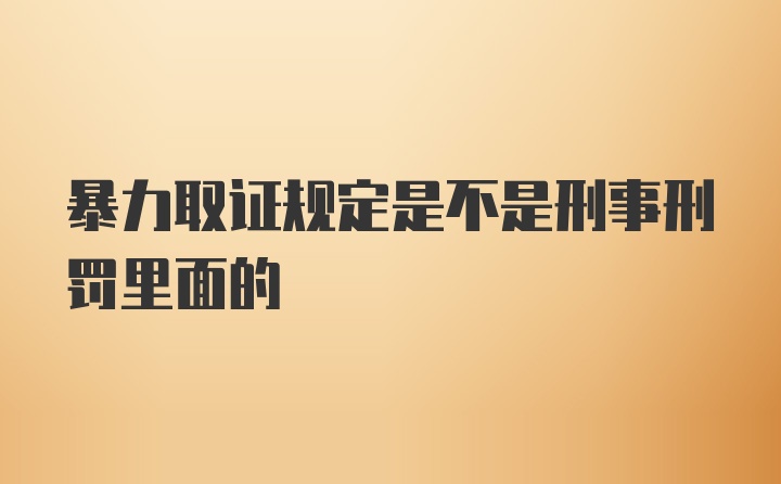 暴力取证规定是不是刑事刑罚里面的