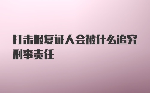 打击报复证人会被什么追究刑事责任