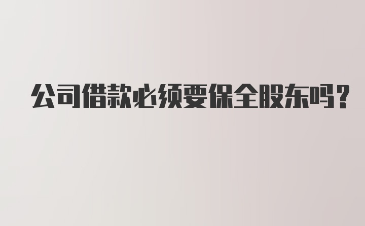 公司借款必须要保全股东吗？