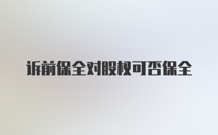 诉前保全对股权可否保全