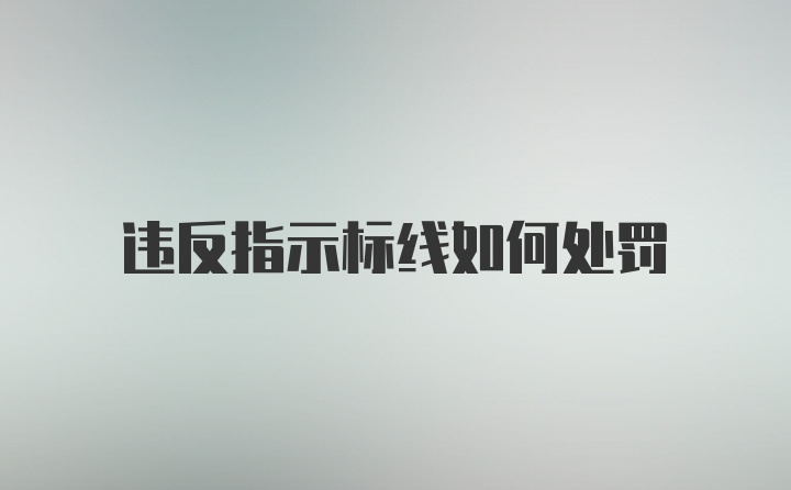 违反指示标线如何处罚