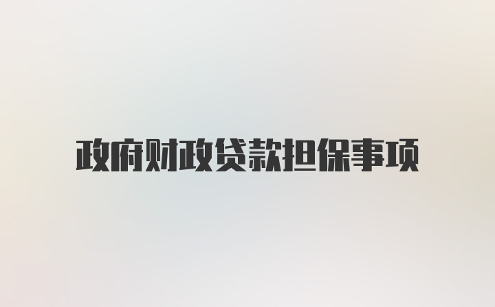 政府财政贷款担保事项