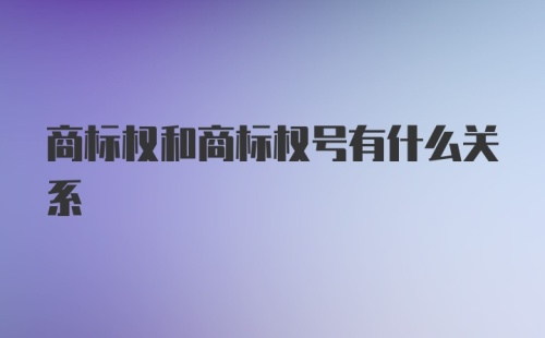 商标权和商标权号有什么关系