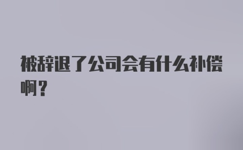 被辞退了公司会有什么补偿啊？