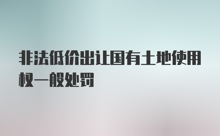 非法低价出让国有土地使用权一般处罚