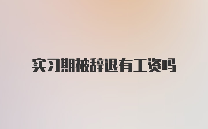 实习期被辞退有工资吗