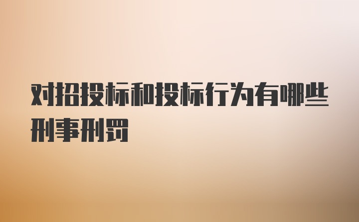 对招投标和投标行为有哪些刑事刑罚