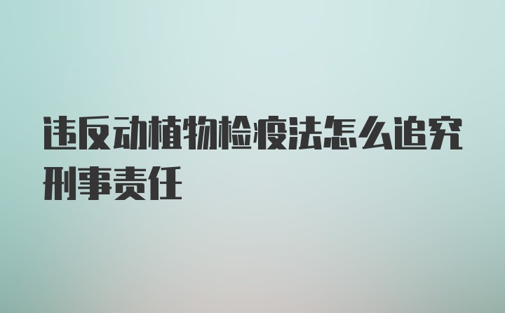 违反动植物检疫法怎么追究刑事责任