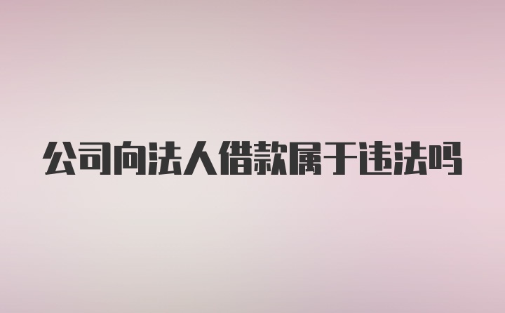 公司向法人借款属于违法吗