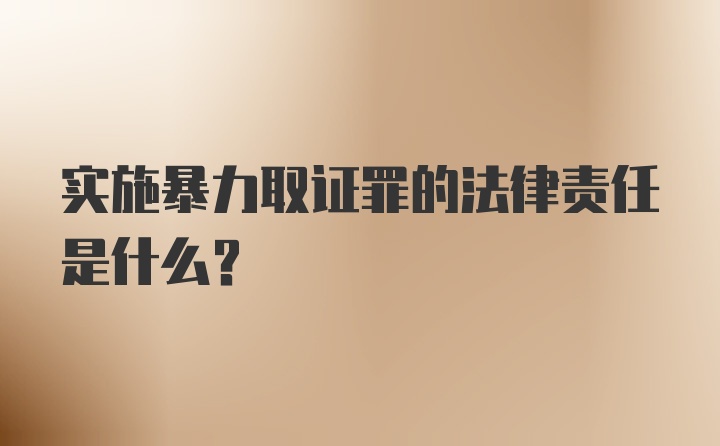 实施暴力取证罪的法律责任是什么？