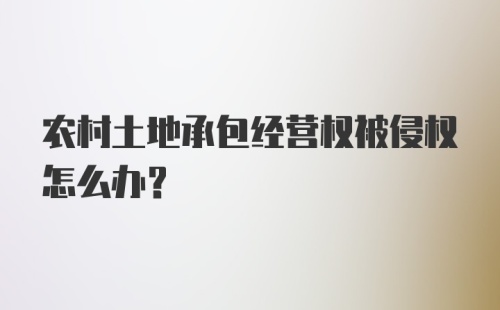 农村土地承包经营权被侵权怎么办？