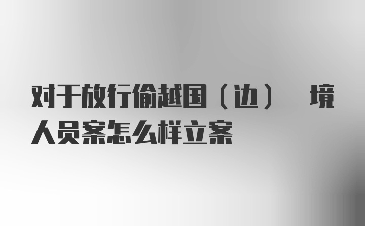 对于放行偷越国(边) 境人员案怎么样立案