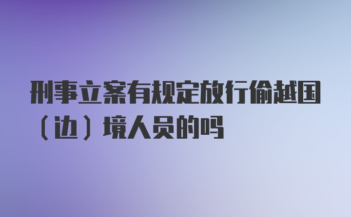 刑事立案有规定放行偷越国（边）境人员的吗