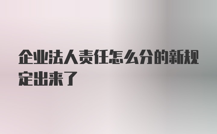 企业法人责任怎么分的新规定出来了