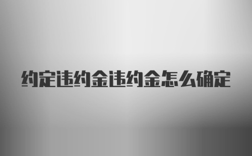 约定违约金违约金怎么确定