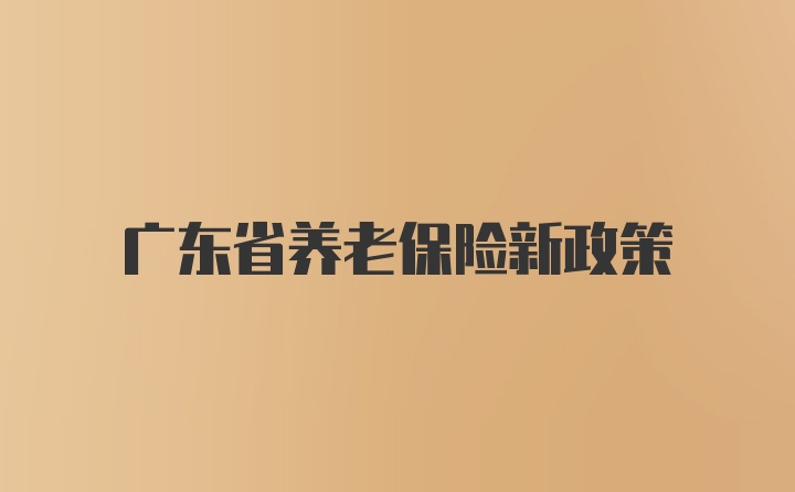 广东省养老保险新政策