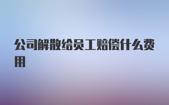 公司解散给员工赔偿什么费用