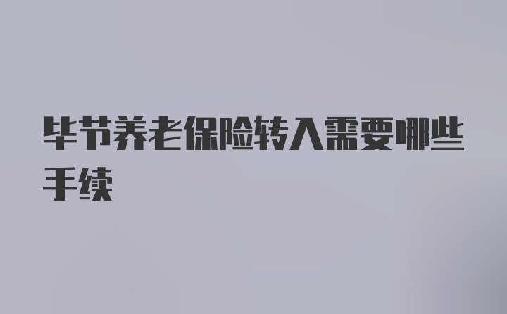 毕节养老保险转入需要哪些手续