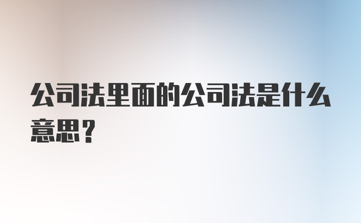 公司法里面的公司法是什么意思？