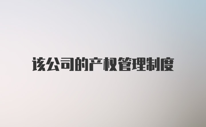 该公司的产权管理制度