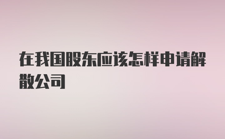 在我国股东应该怎样申请解散公司