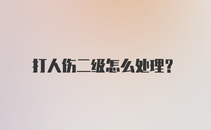 打人伤二级怎么处理？