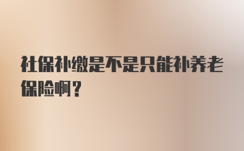 社保补缴是不是只能补养老保险啊？