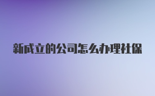 新成立的公司怎么办理社保