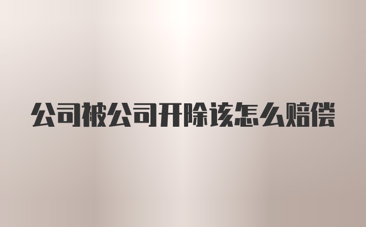 公司被公司开除该怎么赔偿