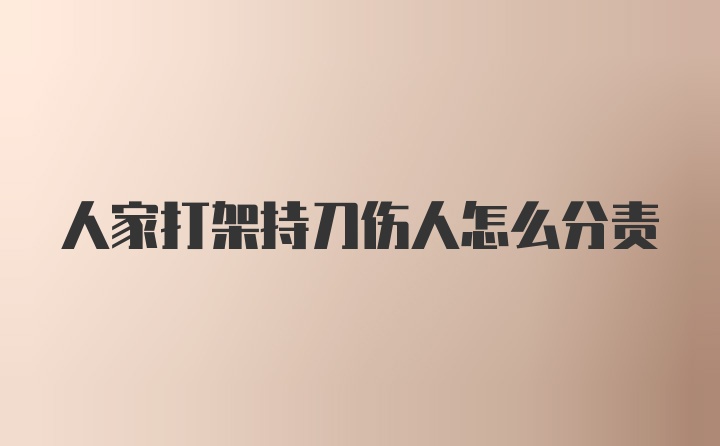 人家打架持刀伤人怎么分责