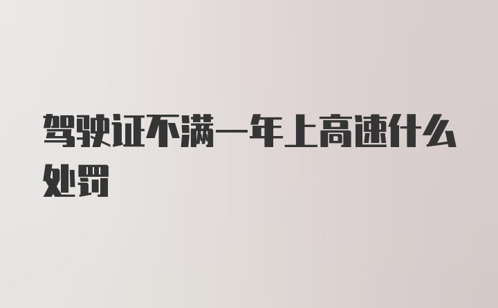 驾驶证不满一年上高速什么处罚