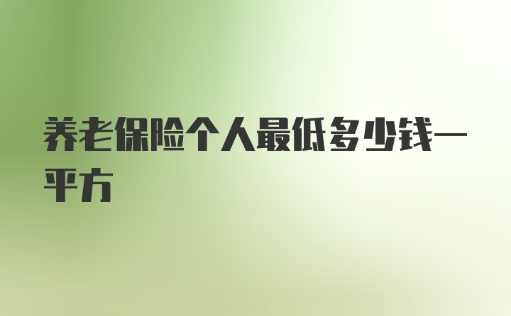 养老保险个人最低多少钱一平方