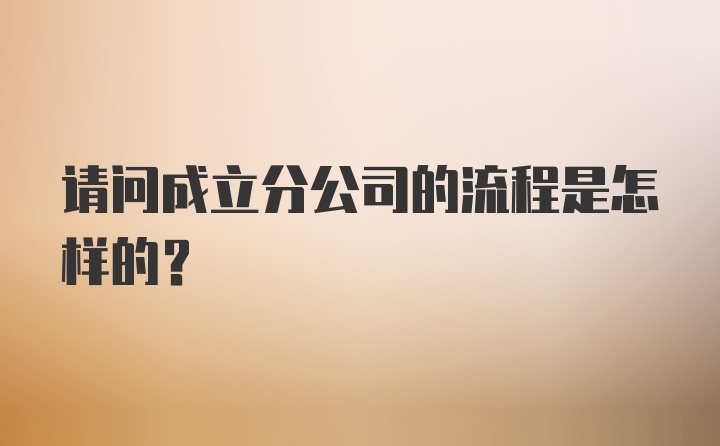 请问成立分公司的流程是怎样的？