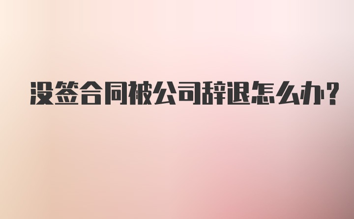 没签合同被公司辞退怎么办?