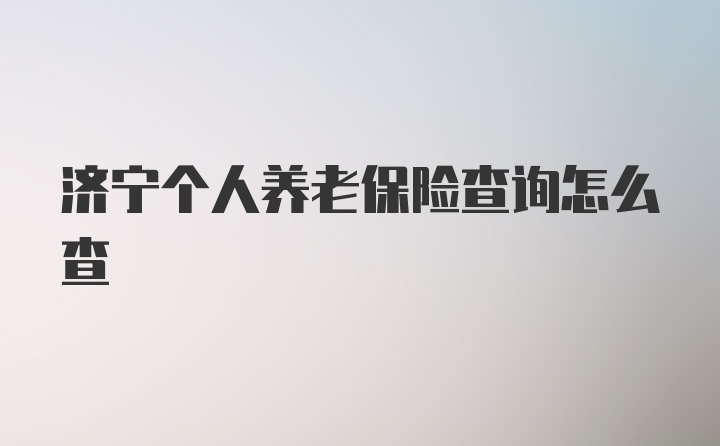 济宁个人养老保险查询怎么查