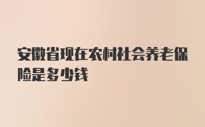 安徽省现在农村社会养老保险是多少钱