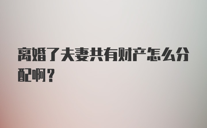 离婚了夫妻共有财产怎么分配啊?