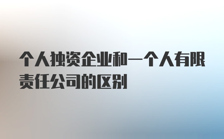 个人独资企业和一个人有限责任公司的区别