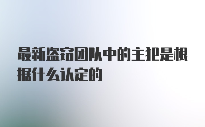 最新盗窃团队中的主犯是根据什么认定的