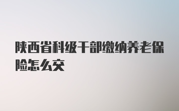 陕西省科级干部缴纳养老保险怎么交