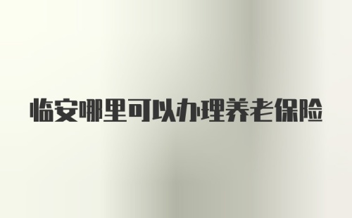 临安哪里可以办理养老保险