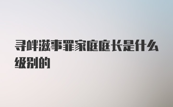 寻衅滋事罪家庭庭长是什么级别的