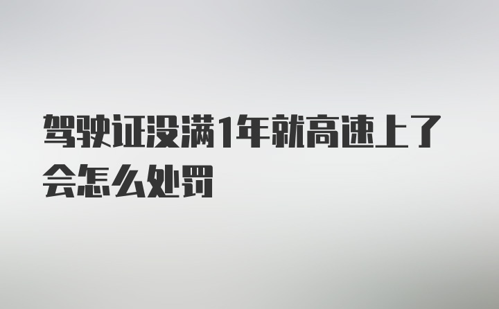 驾驶证没满1年就高速上了会怎么处罚