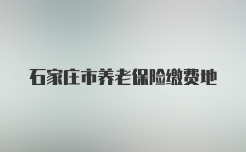 石家庄市养老保险缴费地