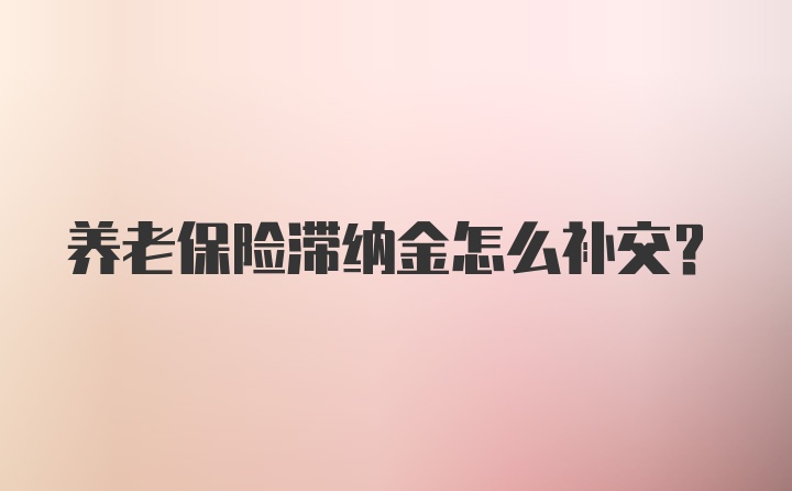 养老保险滞纳金怎么补交？