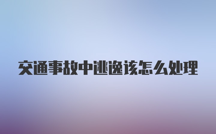 交通事故中逃逸该怎么处理