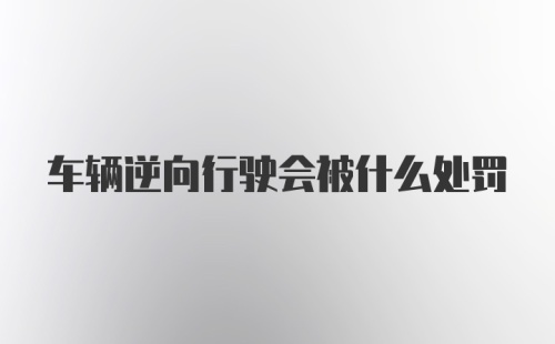 车辆逆向行驶会被什么处罚