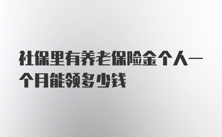 社保里有养老保险金个人一个月能领多少钱